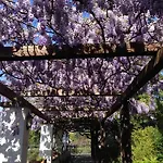 Relais La Rupe 4* Półwysep Sorrentyński
